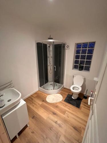a bathroom with a shower and a toilet in it at Villa Belle Vue Ambleteuse in Ambleteuse