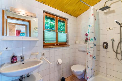 een badkamer met een wastafel en een toilet bij Landhaus Graf in Kniebis