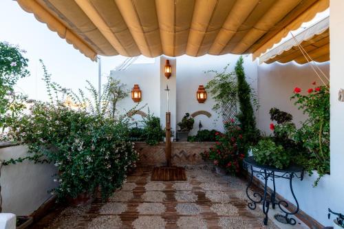 un patio en una casa con macetas en Ático con encanto en Sierpes en Sevilla