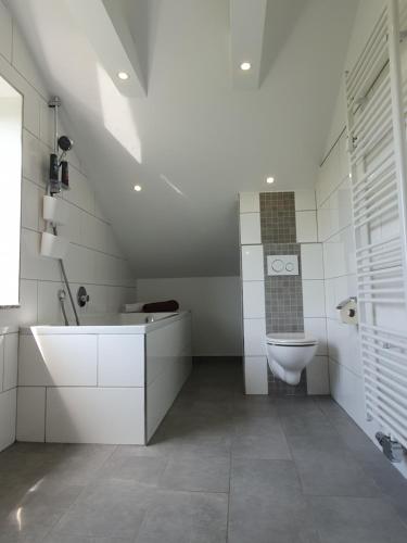 a white bathroom with a toilet and a sink at ruhige und moderne 2-Zi. Wohnung in Külsheim