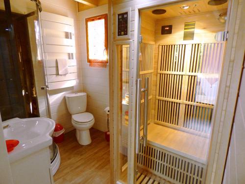 y baño pequeño con aseo y ducha. en La Rossignolerie - Gîte des châteaux, en Chouzy-sur-Cisse