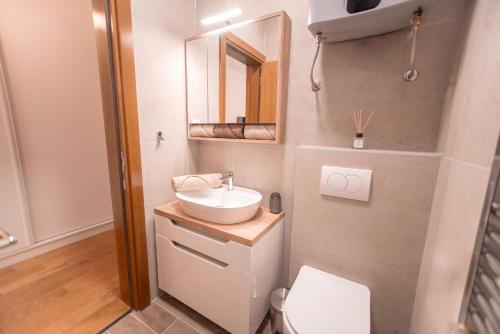 a small bathroom with a sink and a toilet at Studio 106 Apartment in Palić