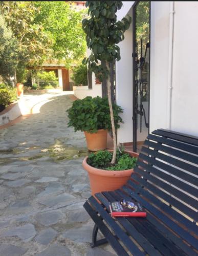 a book sitting on a bench next to a plant at Hotel Alcadima in Lanjarón
