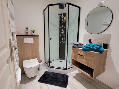 a bathroom with a shower and a toilet and a mirror at Appartement récemment rénové in Saint-Léger