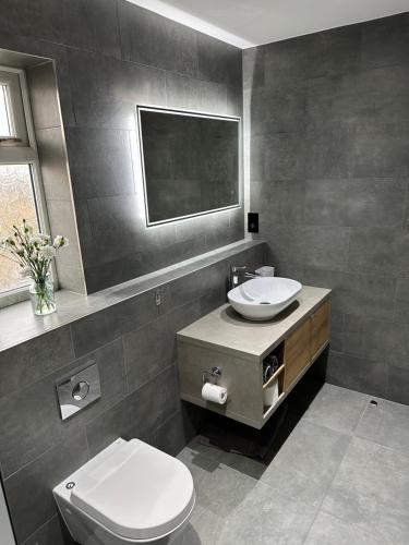 a bathroom with a toilet and a sink and a mirror at Luxury West London 3BR House, Cul De Sac in Isleworth