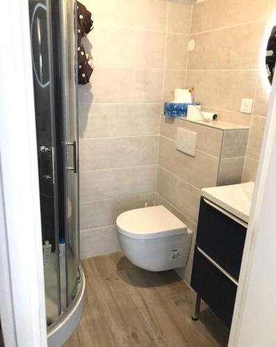 a small bathroom with a toilet and a shower at Studio bord de mer, Croisette, Cannes in Cannes