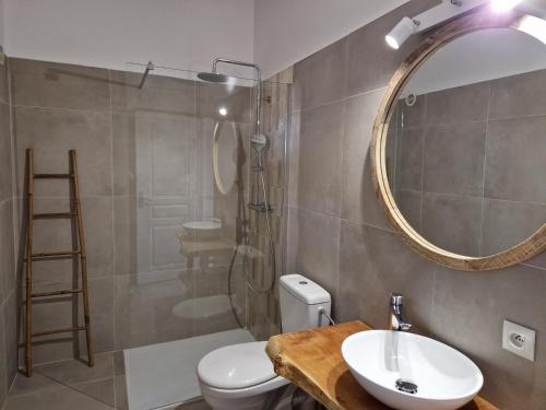 uma casa de banho com um WC, um lavatório e um espelho. em Villas Abbartello em Olmeto