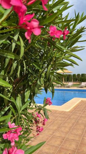 Finca Sol y Vida - Agroturismo Son Sampoli