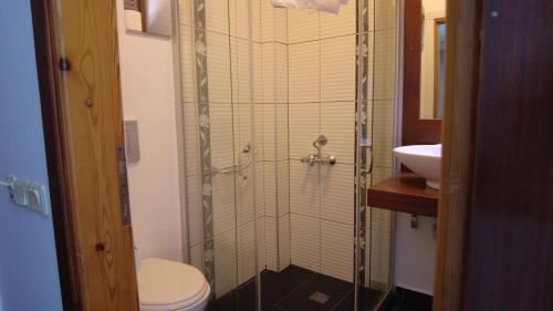 a bathroom with a shower with a toilet and a sink at Gumbet Cove Hotel in Gümbet
