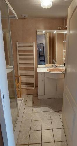 une salle de bain avec un lavabo et un miroir dans l'établissement Chez marcelle, à Éteignières