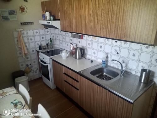 a small kitchen with a sink and a stove at Rodinný dům pro hosty Vysočiny 