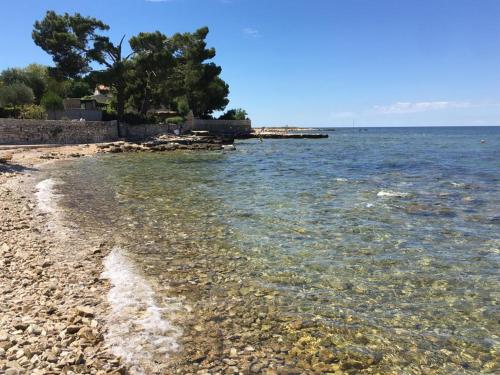a beach with a rocky shore with trees and water at Apartments Valentina in Umag