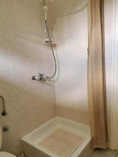 a bathroom with a shower with a shower curtain at Körűnéző Vendégház in Nagykörů