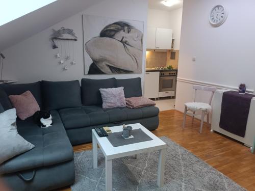 - un salon avec un canapé et une table dans l'établissement Apartment for EXIT FESTIVAL, à Novi Sad