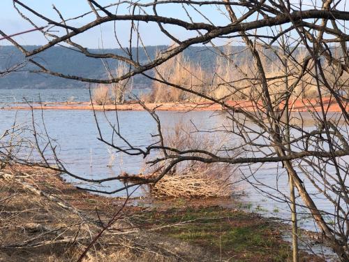 a view of a body of water through a tree at Grand studio indépendant in Paulhan