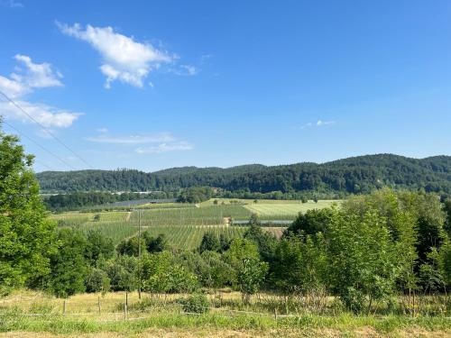 uitzicht op de glooiende heuvels en bomen bij Garten mit einzigartigem Panoramablick UG - nahe Bodensee und Messe in Tettnang