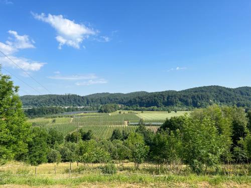 widok na wzgórza i drzewa w obiekcie Garten mit einzigartigem Panoramablick UG - nahe Bodensee und Messe w mieście Tettnang