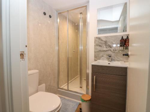 a bathroom with a shower and a toilet and a sink at 24 Bridge Street in Banff