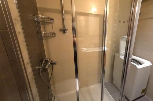 um chuveiro com uma porta de vidro na casa de banho em Ελιάδες - Eliades Apartments em Caristo
