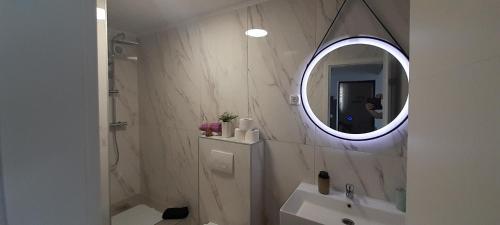 een badkamer met een wastafel en een spiegel bij Apartment Krajančić Ivan & Neda in Zavalatica