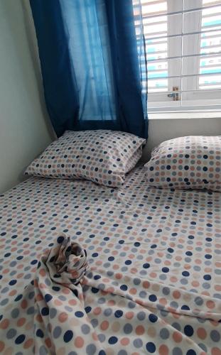 Gallery image of Catherine Suites Curacao in Willemstad