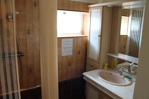 ein Bad mit einem Waschbecken und einer Dusche mit einem Fenster in der Unterkunft La franpierre 