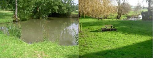due foto di un parco con una panchina accanto a uno stagno di Le fournil a Chuffilly-Roche