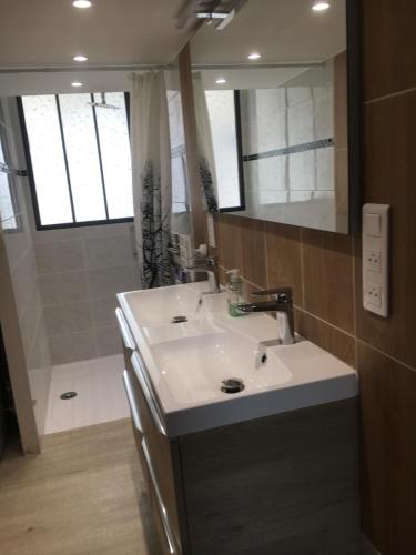 een badkamer met een wastafel, een spiegel en een douche bij REVERIE D'ETE in Vic-Fezensac