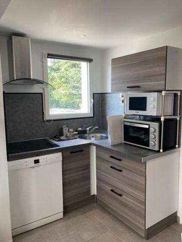 La cuisine est équipée d'un four micro-ondes et d'un évier. dans l'établissement Superbe appartement au calme et vue sur la mer, à Cagnes-sur-Mer