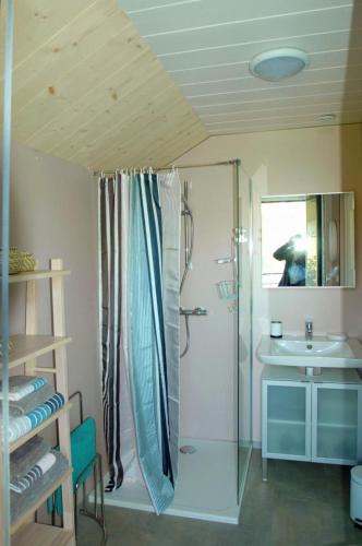 une salle de bain avec douche et lavabo dans l'établissement Le chalet, à Bazeilles