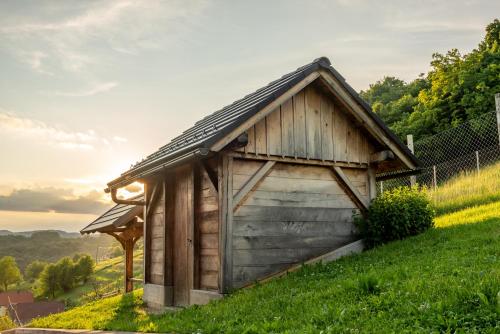a small wooden building on a hill with a field of flowers at Vineyard cottage Jelenov hrib in Smarjeske Toplice