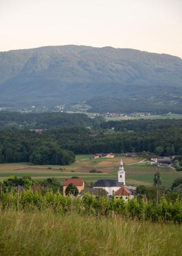 a small town with a church and mountains in the background at Vineyard cottage Jelenov hrib in Smarjeske Toplice