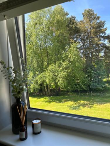 uma janela com vista para um pátio verde em Gleneagles Holiday Home Rental em Auchterarder