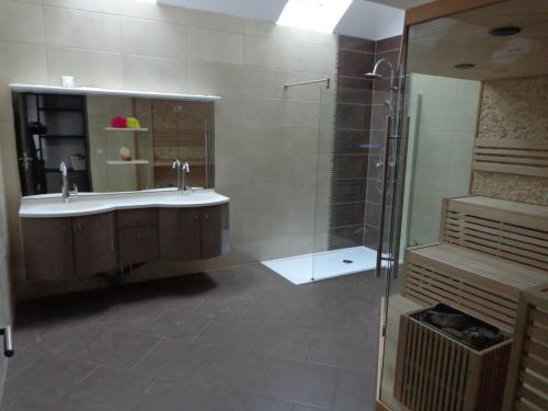 La salle de bains est pourvue d'un lavabo et d'une douche. dans l'établissement Petites fleurs des champs, à Puilly-et-Charbeaux
