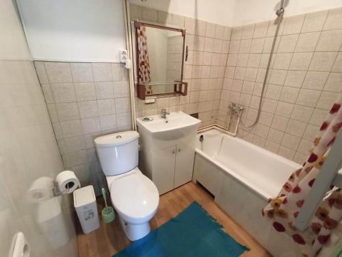 a bathroom with a toilet and a sink and a tub at Vila Puriena in Kurtuvėnai