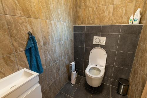 uma casa de banho com um WC e uma toalha azul em Chaloupka Borůvka em Skuteč