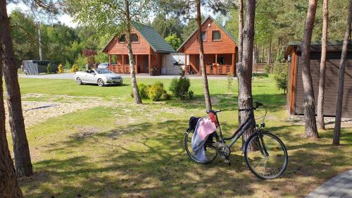 een fiets geparkeerd naast een boom voor een huis bij Camping nad Warta 