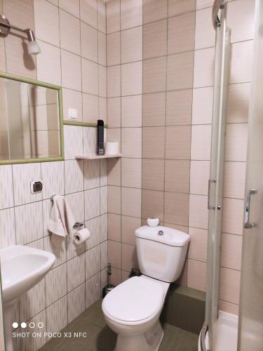 een badkamer met een toilet en een wastafel bij Domek i pokoje Wilkasy in Wilkasy