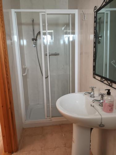 a bathroom with a shower and a sink and a mirror at Rathgillen House in Nobber
