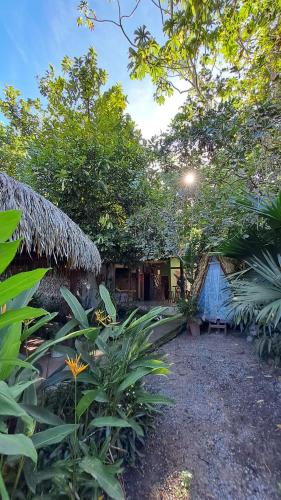 una casa con techo de paja y algunas plantas en Camping Redario Manauara en Alter do Chao