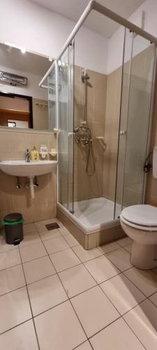 La salle de bains est pourvue d'une douche, de toilettes et d'un lavabo. dans l'établissement Apartma Luka with private parking, à Izola