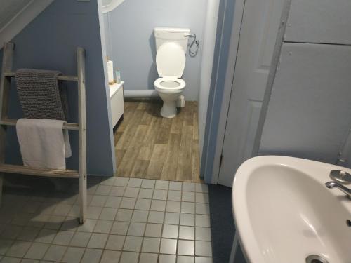 a bathroom with a toilet and a sink at 33 Berg Selfcatering in Swellendam