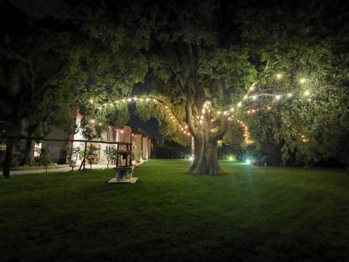 a tree with lights on it in a yard at night at Garda Relais Antica Romelia in Montichiari