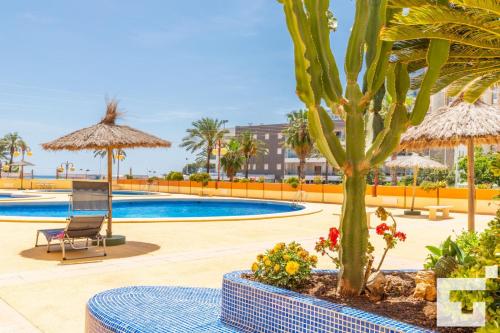 Apartamento Zafiro 26C - Grupo Turis