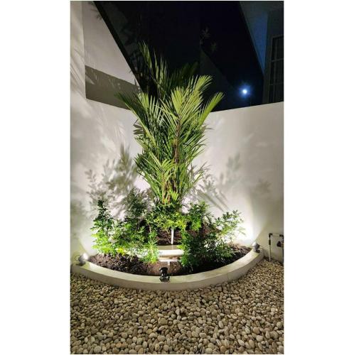 a planter with a palm tree in front of a building at villa batu pandermanhill 4BR+karoke in Tlekung