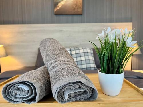 ヌサジャヤにあるTeega Suites Puteri Harbour_5min Legoland #6Pax (16)の花瓶付きテーブルのタオル2枚