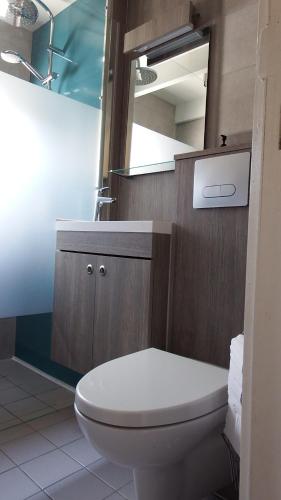 a bathroom with a toilet and a sink and a mirror at a l'aise aan zee in Koksijde