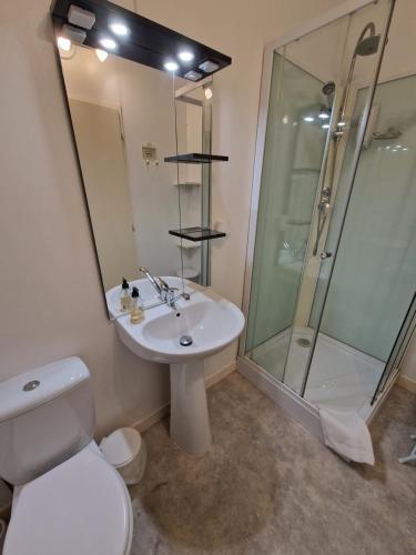 y baño con aseo, lavabo y ducha. en La Noyeraie Rocamadour en Rocamadour