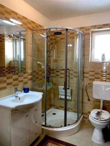a bathroom with a shower and a sink and a toilet at Casa Brănescu in Acriş