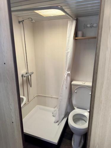 a small bathroom with a toilet and a shower at Gezellige STACARAVAN met groot, zonnig terras! in Belt-Schutsloot